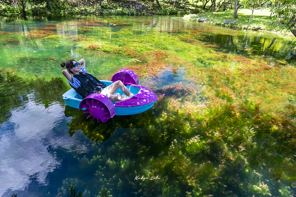 美到不真實的花蓮秘境 拉索埃湧泉生態園區 成功復育台灣原生種水草 宛如七彩水下森林